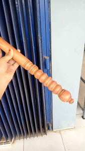 Tongkat Gada Kayu Setigi Laut H543: Manfaat & Penggunaan