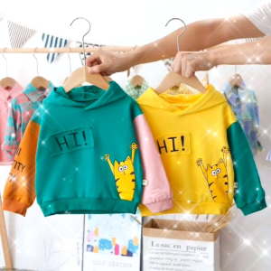 Sweater Anak Laki Laki Import Lengan Panjang Usia 1-4 Tahun / Kaos Lengan Panjang Anak Laki Laki Impor Hoodie