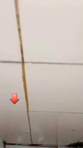 Pembersih Noda Kerak Lantai Dinding Keramik Kamar Mandi WC Stanliess Antibakteril 500ml