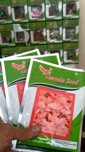 Garuda Seed Benih Bayam Merah Baret Merah Kemasan 50gram