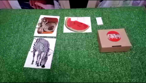 GAZ TOYS PART & WHOLE B/IQ DEVELOPMENT/MAINAN EDUKATIF ANAK