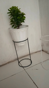 Dudukan Pot Bunga & Standing Pot Besi: Desain Tahan Lama & Murah