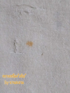 นายสะอาด น้ำยาขจัดคราบสนิมผ้า ขนาด 20 ml" - นายสะอาด น้ำยาขจัดคราบสนิมผ้า 20 ml