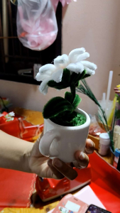 ดอกไม้กำมะหยี่ ดอกไม้ประดิษฐ์ กระถางดอกไม้