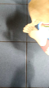 WAYANG KULIT PUNOKAWAN SEMAR GARENG PETRUK BAGONG STANDAR PEDALANGAN MURAH