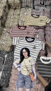 Áo Thun Ôm Vừa Dáng Nữ [Mã S05] Form 40~60kg Hình Thêu Cotton Mềm Mịn Co Dãn 4 Chiều [SỌC THỎ]