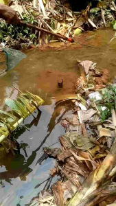 Inverter elektrik PDC 2fet plus boks siap pakai bisa bayar di tempat (cod)