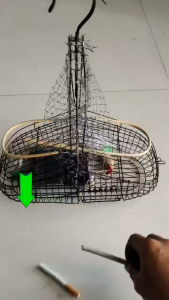 lồng lụp bẫy chim hút mậtóc mítsâukhuyên