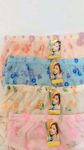 6 Pcs Celana Dalam Wanita Katun Jumbo / CD Wanita Novia Motif Bunga