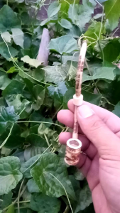 Pipa Cangklong Bambu Model Popay