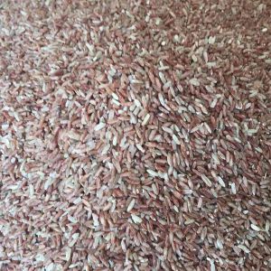 beras merah organik kampung asli priangan timur.harga per 1kg