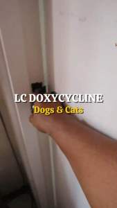 LC Dox Doxycycline 100mg Tablet for Dogs & Cats | 1 Bottle or Per Tablet