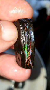 bahan black opal sempur/rough opalized wood