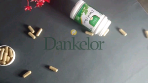 Dankelor Ekstrak daun kelor asli obat herbal radikal bebas obat herbal untuk jantung obat herbal untuk kanker obat herbal untuk diabetes  obat herbal degeneratif obat herbal untuk paru paru obat herbal untuk hati obat herbal hati dan ginjal asli.