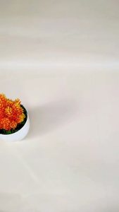 Sandal Teplek Wanita Kekinian Anyam Silang D09