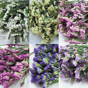 สแตติส สแตติสแห้ง ดอกไม้แห้ง สแตติส diy พร้อมส่งจาก กทมเลยจ้า