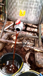 MADU FRESH 600gram MURNI FULL NEXTAR HUTAN ACASIA