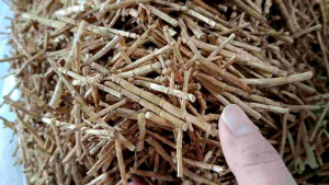 1kg Rễ Tranh phơi khô (cỏ tranh)