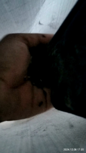 ข้าวเหนียวดำ🌾ตราเด็กหัวจุก🌾แพ็คสูญญากาศขนาดบรรจุ1แพ็ค=1กก.1กล่อง10แพ็ค