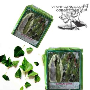 Hạt Giống Bắp Nếp F1 Good68 - Gói 500gr