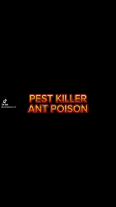 Pembasmi Semut Paling Ampuh