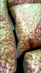 Kacang Bawang Super Rasa Mete | Kacang Besar Rasa Mete 1kg Murah