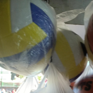 Volleyball ball