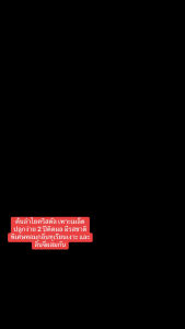 ต้นลำไยคริสตัล เพาะเมล็ด ปลูกง่าย 2 ปีติดผล มีรสชาติพิเศษหอมกลิ่นทุเรียนเงาะ และลิ้นจี่ผสมกัน