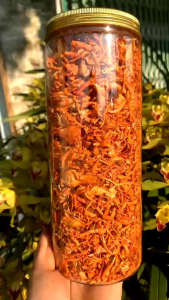 Nấm đông trùng hạ thảo sấy khô thăng hoa-sợi gãy cao cấp.