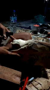 koleksi putian banteng tanduk asli