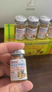 PHAR COMBIDO (lọ 5ml) pharmavet dung dịch tiêm đứt điểm kiết lỵ tiêu chảy có máu nôn mửa bỏ ăn k rõ nguyên nhân ở chó mèo