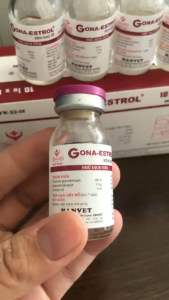 Gona Estrol (8ml) kích dục tố cho vật nuôi