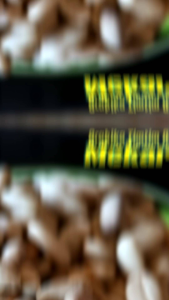 Bibit biji kopi Arabika Ateng super kemasan 1kg siap tebar dari biji kopi pilihan hasil sortiran