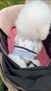 Mickey and The Gang Sailor Harness (Size M) - เสื้อรัดอกสุนัขของ Mickey และผู้ชายเข่ง ขนาด 66 (XL)