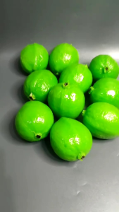 Replika Buah Jambu biji ( 1 pcs ) / Edukasi anak / Dekorasi meja makan / Display Restaurant Hotel Dan lain lain