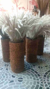 (3Paket) Obral Murah Paket Bunga Kering + Pot