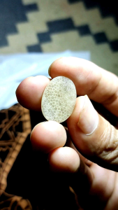 Batu akik motif sarang semut natural