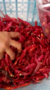 Cabe Rawit Teja Kering [Premium] 250gram pedas alami