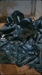 Media Tanam Sekam Bakar Kemasan Plastik 2 Kg