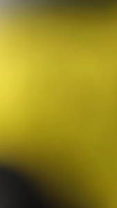 NEW KAOS ATASAN PRIA DEWASA LENGAN PENDEK KATA2 SUDAH BERISTRI JANGAN DI GODA DTF DEPAN BELAKANG