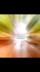 Vitalife Virgin Coconut Oil Softgels – Support Healthy Skin Digestion & Immunity