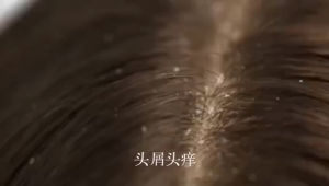 LIFUSHA SEAWEED SHAMPOO ANTI-DANDRUFF OIL CONTROL Syampoo anti kelemumur kurangkan rambut berminyak