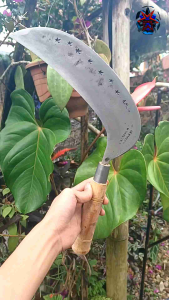 AM19 arit sadap kelapa deres penderesan model bulan sabit baja selap 3 - 5 super asahan