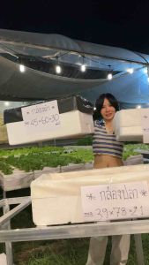 ถุงคลุมกล่องปลูกผักไฮโดรโปรนิกส์ ถุงรองกล่องปลูกผักไฮโดร ถุงรองกล่องโฟม ถุงคลุมกล่องโฟม เนื้ออย่างดี