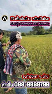 ปุ๋ยสูตรเข้มข้ม Cabmax Vamax