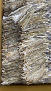 ปลาช่อนทะเลเล็กปลาเค็มแปลาช่อนทะเลไม่จืดขนาด250กรัม