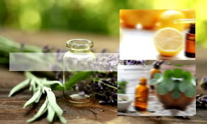 BECALM MASSAGE RUB - STRONG MENTHOL! Infused with Vitamin E Chamomile and Himag Herbal Oil. Anti Stress Better Sleep Respiratory Relief Cure skin allergies & wounds body pain relief dysmenorrhea rheumatism arthritis varicose veins cough relief