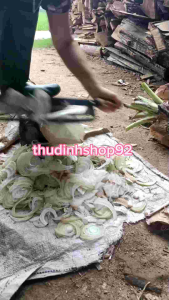 Dao Thái Chuối/Dao Thái Cây Chuối Chất Liệu Nhíp Xe Chuẩn 2 tay Cầm Chắc Bền