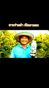 ซีวิด พลัส สาหร่ายเปิดตาดอก ตราด็อกเตอร์ลิง (1 ลิตร) สูตรบำรุงดอก (ชนิดน้ำ)