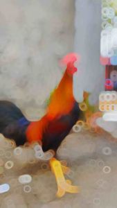 B50 Forten Vitamin Mineral Ayam